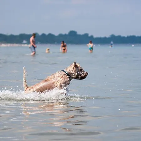 Zur-Alten-Schmiede-I-Links * Boltenhagen (Ostseebad)
